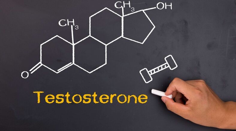 Testosterone levels affect the size of a man's penis